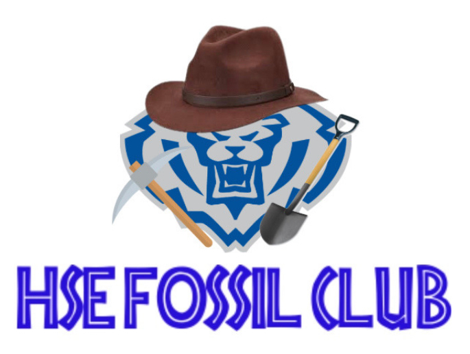 Digging Deep into Fossil Club