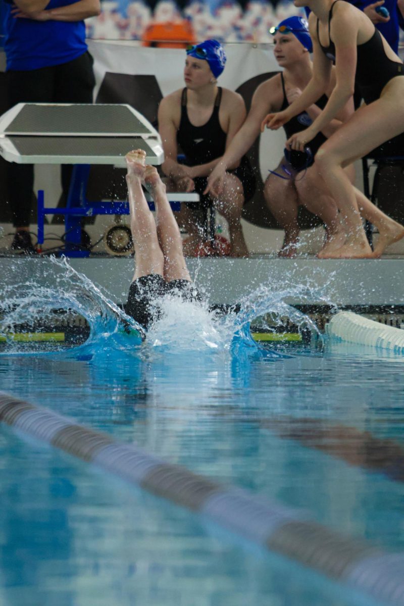 HSE Swimmer Diving into the Pool